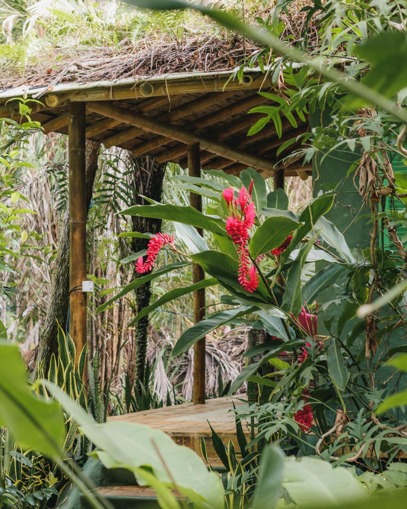 Butterfly House Bahia Hotel Marau  Eksteriør billede